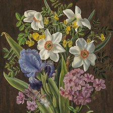 Схема вышивки «№2288130»