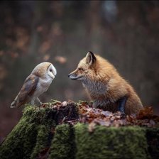 Схема вышивки «Лиса и сова»