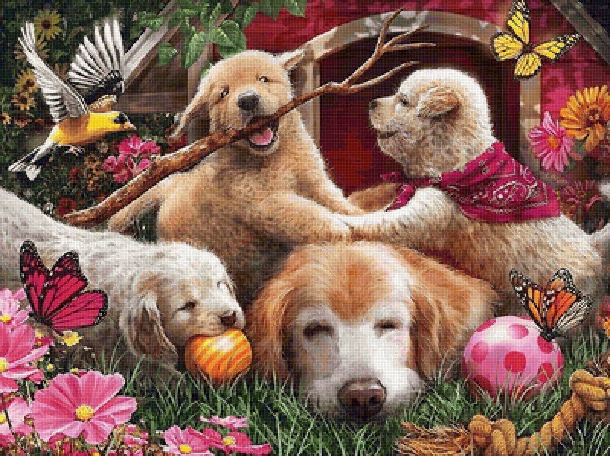 озорные щенки - щенки, собаки - предпросмотр