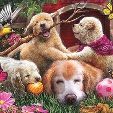 Схема вышивки «озорные щенки»