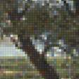 Предпросмотр схемы вышивки «полдень» (№2289116)