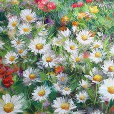 Схема вышивки «Ромашковое поле»