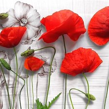 Схема вышивки «маки»