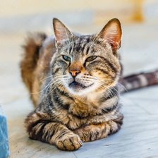 Схема вышивки «блаженство»