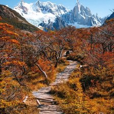 Предгорье в Гималаях