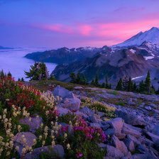 Схема вышивки «Природа»