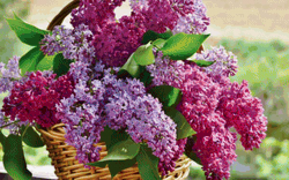 Сирень в корзине - букет, сирень - предпросмотр