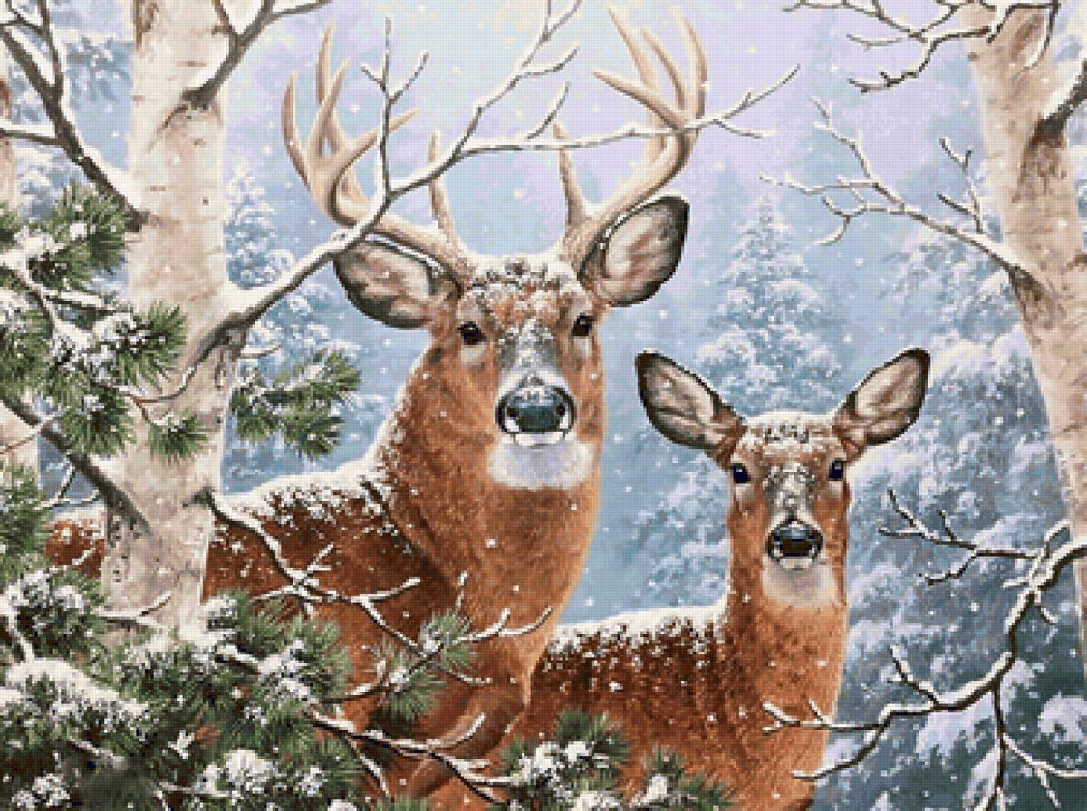 Deer in snow - предпросмотр