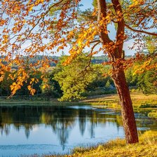 Схема вышивки «осень»