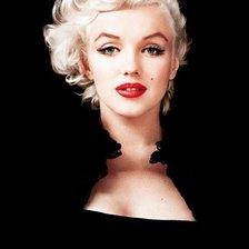 Схема вышивки «Монро»