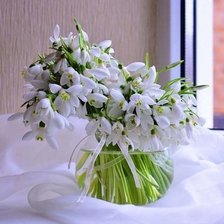 Подснежники