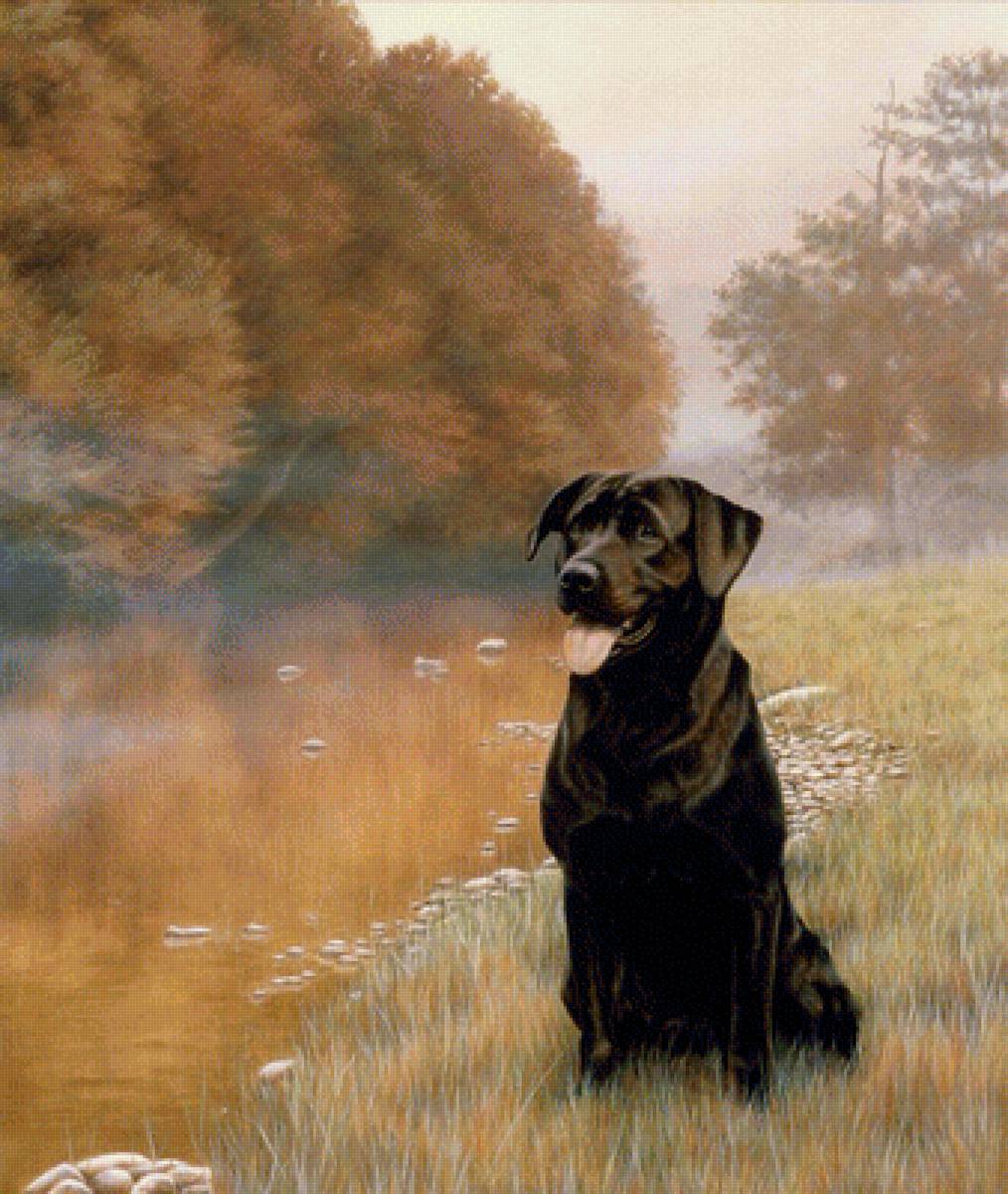 Лабродор. Даниэль Кевин Хемминг - художники - предпросмотр