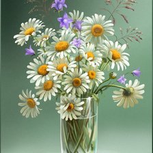 Схема вышивки «Ромашки»