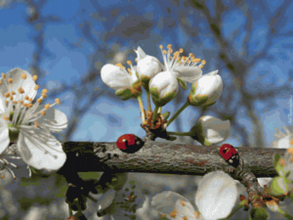 На весеннем солнышке - denecs - предпросмотр