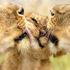 Схема вышивки «Родительска нежность»