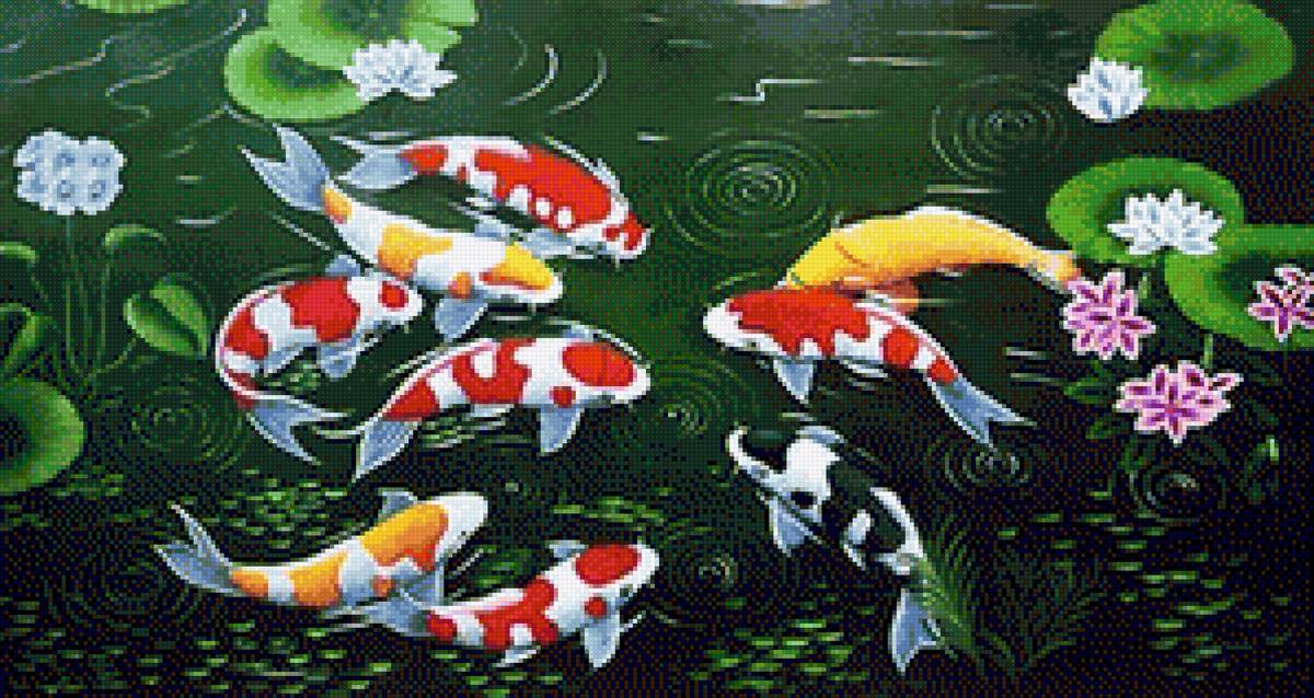 Carps and Lotus - fish - предпросмотр