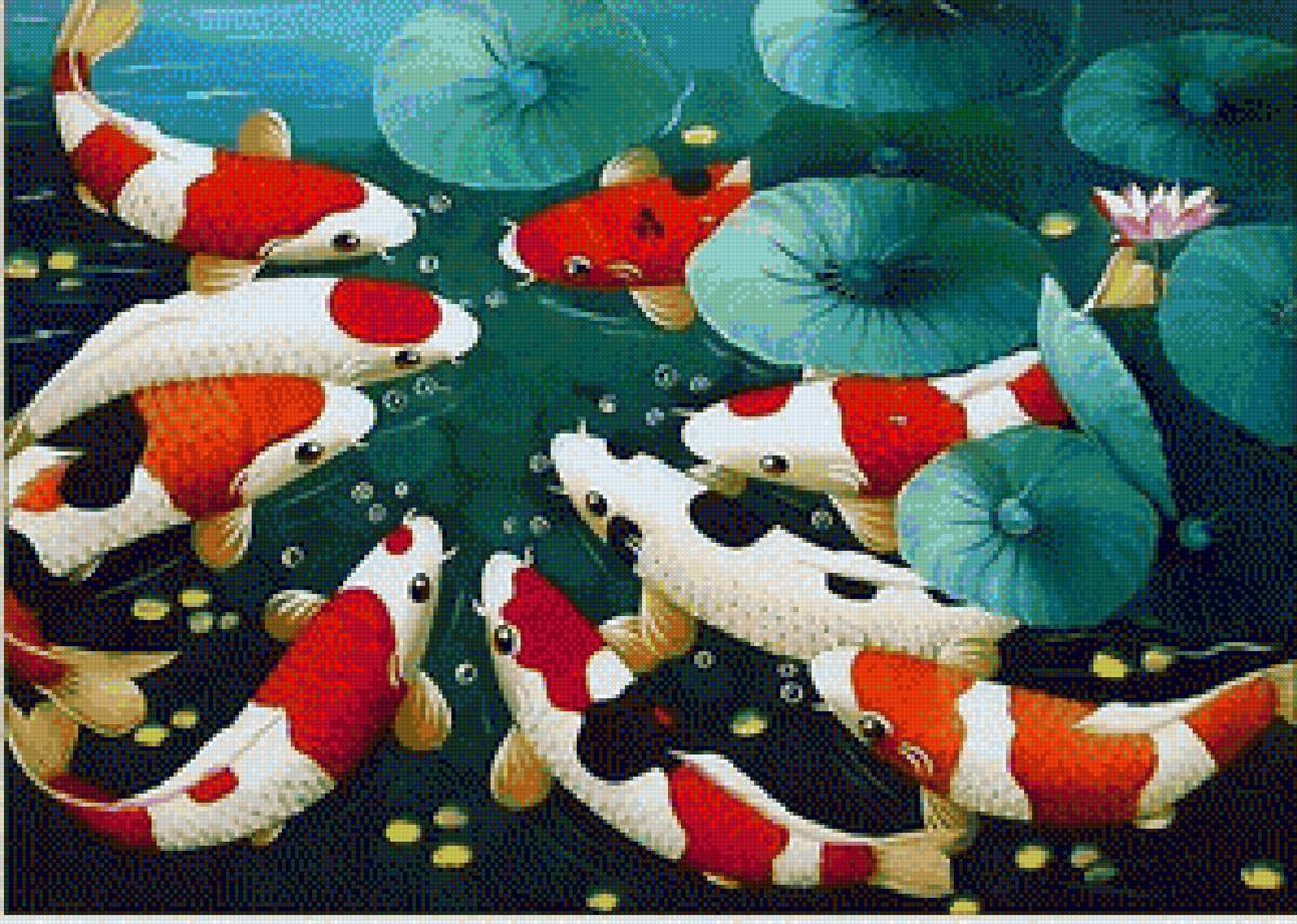 Lucky Koi Fish - fish - предпросмотр