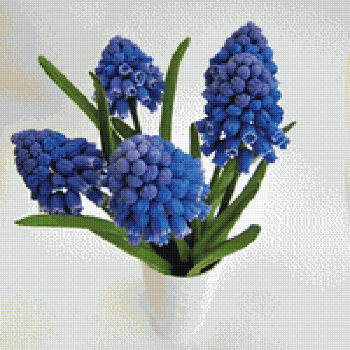 ГИАЦИНТ 3 - denecs - предпросмотр