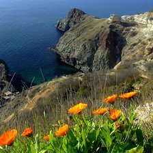 Схема вышивки «ОБРЫВ»