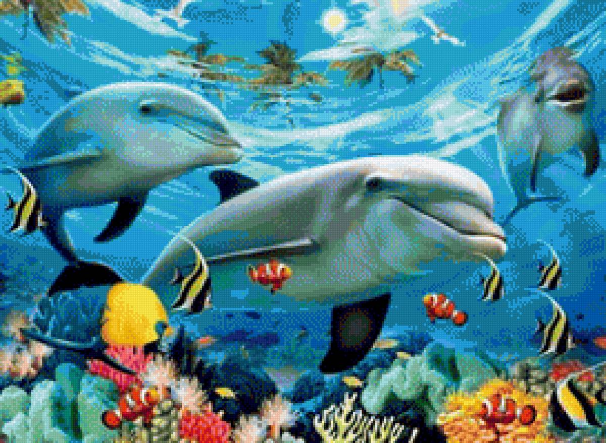 Dolphins Under the Sea - dolphins - предпросмотр