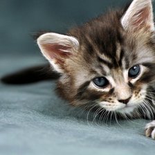 Схема вышивки «Цап-царапыч»