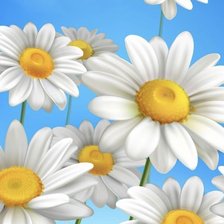 Схема вышивки «Ромашки»