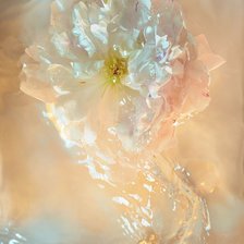 Схема вышивки «№2292099»