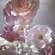 Схема вышивки «№2292113»