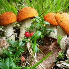 Схема вышивки «Удачная находка»