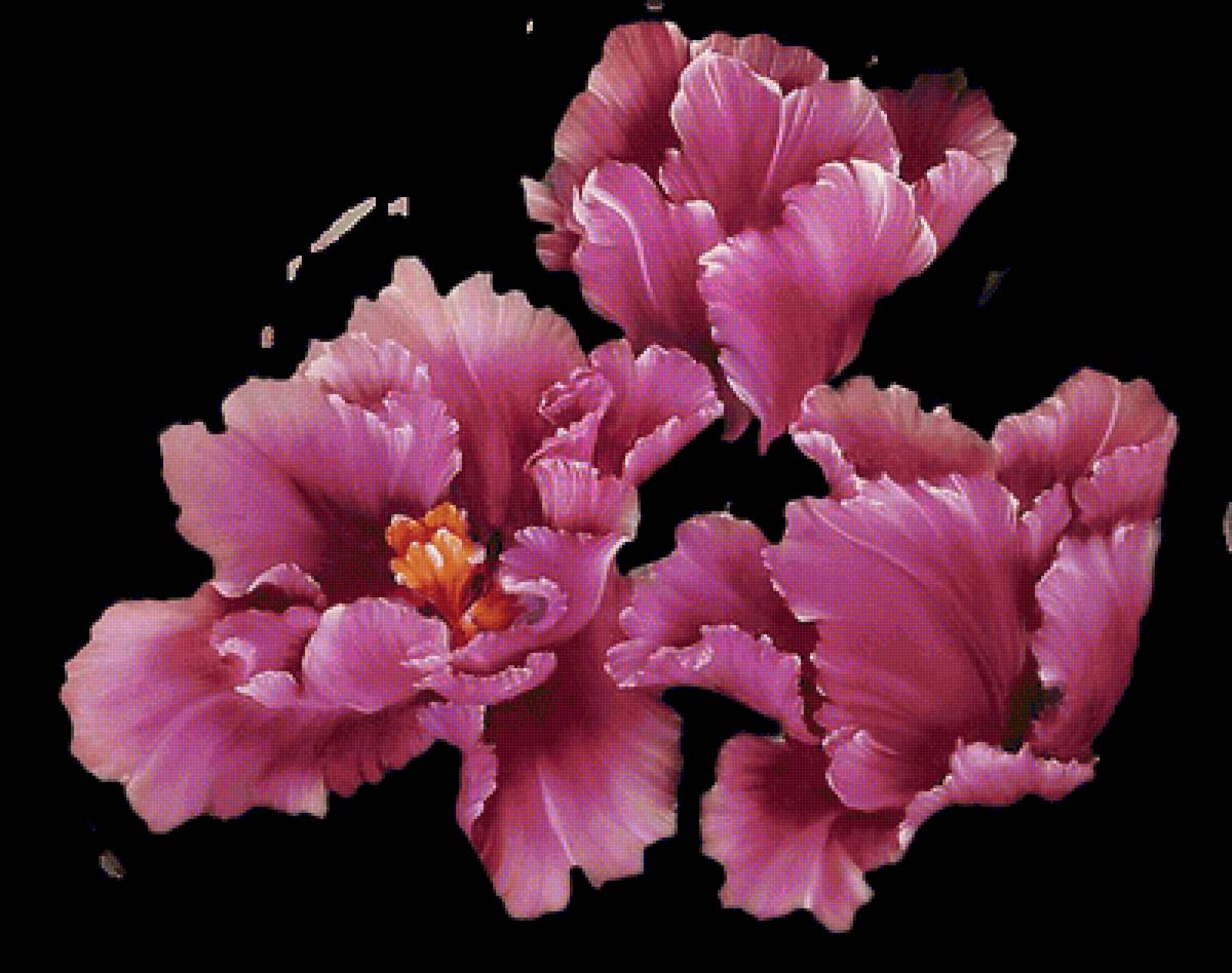 Тюльпаны - тюльпан, цветы - предпросмотр