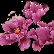 Схема вышивки «Тюльпаны»