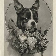 Схема вышивки «щенок»