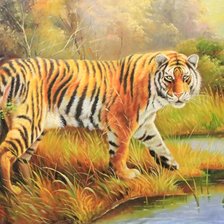 Схема вышивки «Тигр»