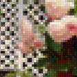 Предпросмотр схемы вышивки «сад» (№2293169)