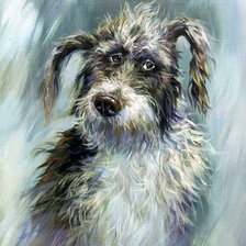 Схема вышивки «Лохматый»