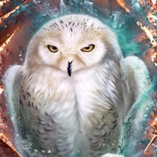 Схема вышивки «Coruja.»