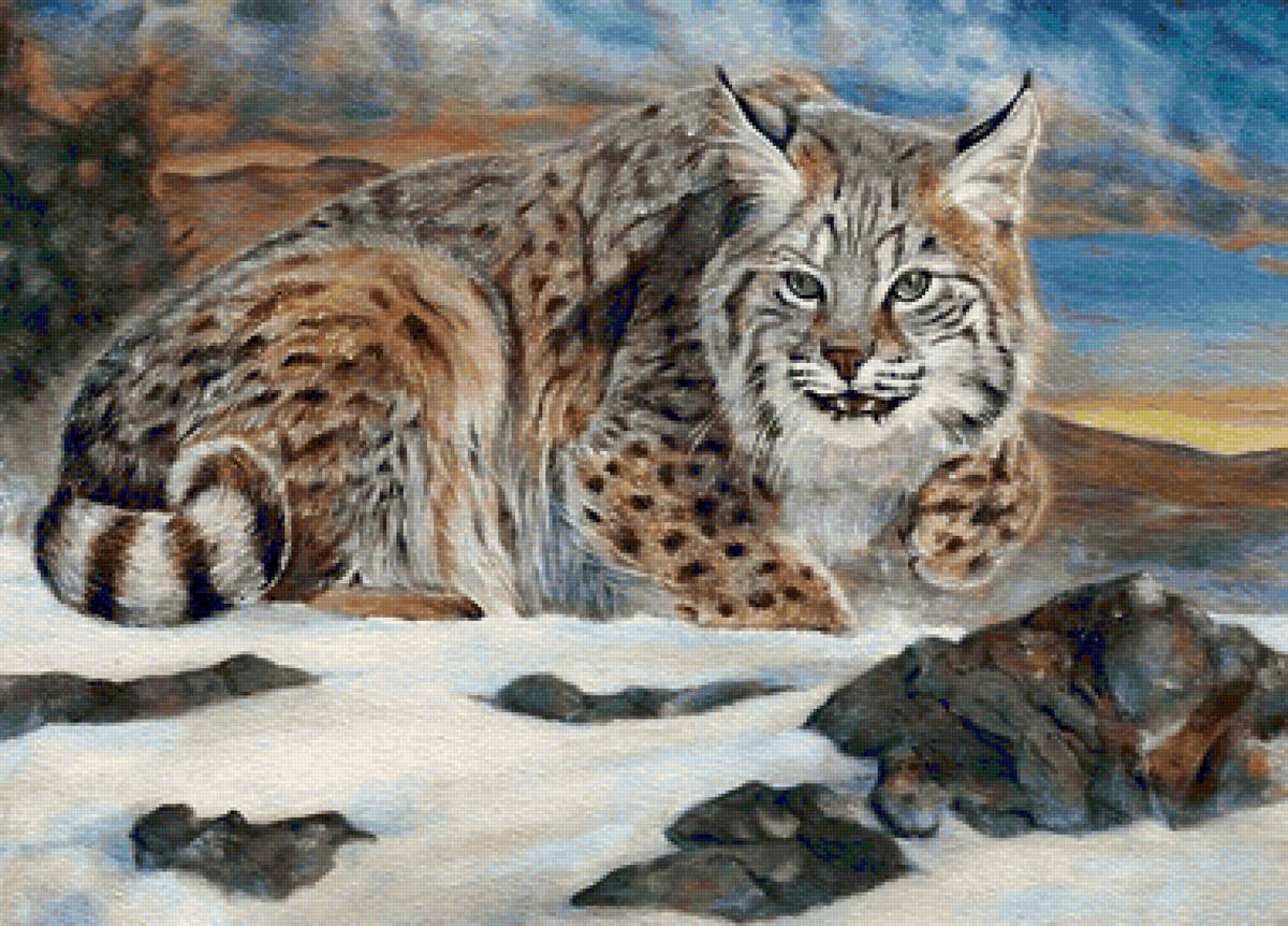 Lince. - animais. - предпросмотр