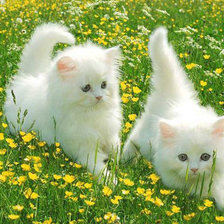 Схема вышивки «на лужайке»