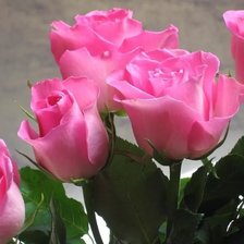 Схема вышивки «розы»