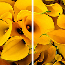 Схема вышивки «каллы»