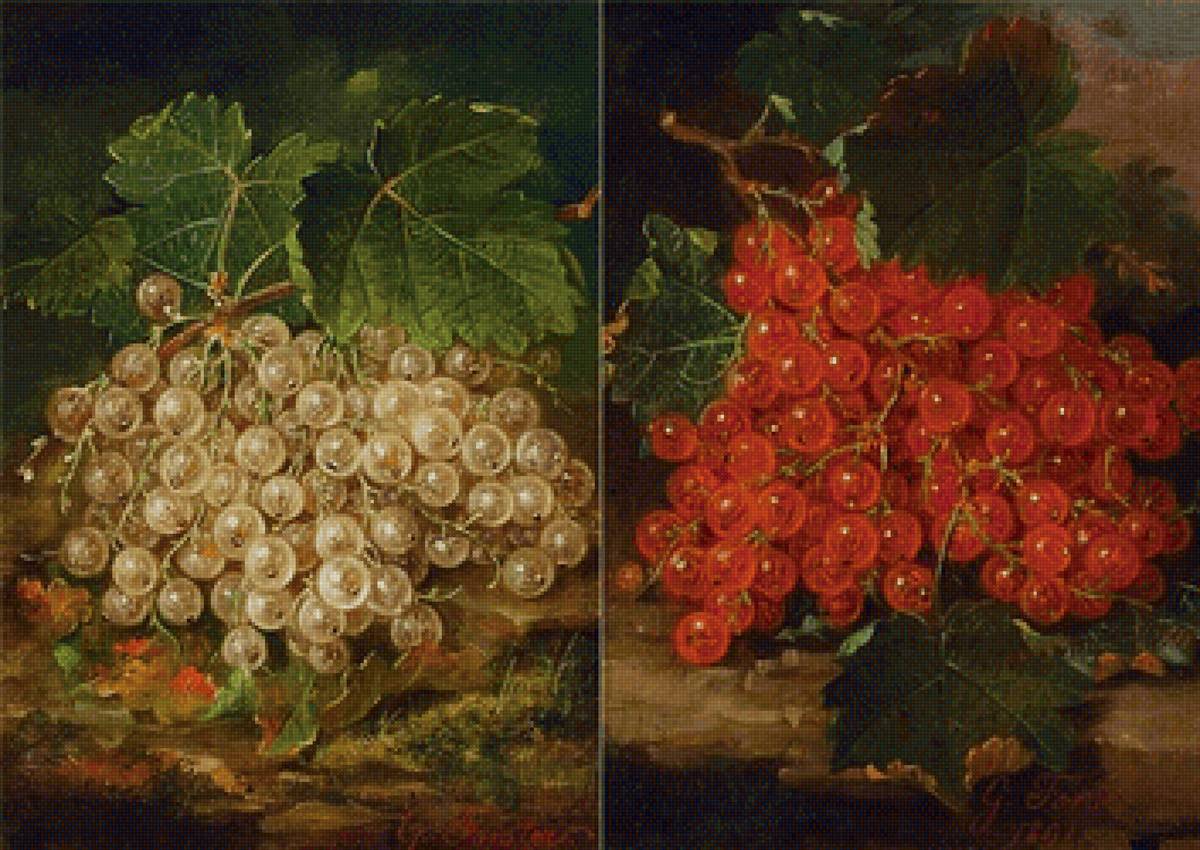 GEORGE E. FORSTER - натюрморт, смородина, ягоды - предпросмотр