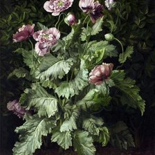 Схема вышивки «Gerald А.Cooper»