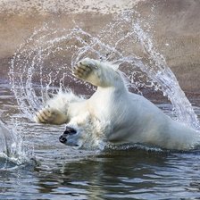 Схема вышивки «белый медведь»