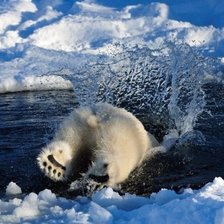 Схема вышивки «белый медведь»