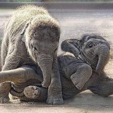 Схема вышивки «слонята»