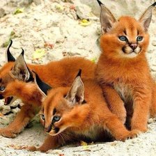 Схема вышивки «малыши»