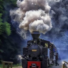 Схема вышивки «Tren de vapor»