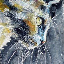 Схема вышивки «Кот на голубом»