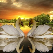 Схема вышивки «Лебеди»