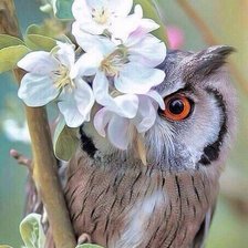 Схема вышивки «Спряталась»